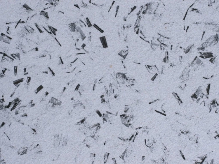 11ffffbe90a640b751b20bddb9e2cb6d
