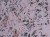 6c8982cd18c1c5fc15c8d5a7a6fd64fe
