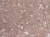 b2029eed0e1bea5ffea8cbcb07ce23ea