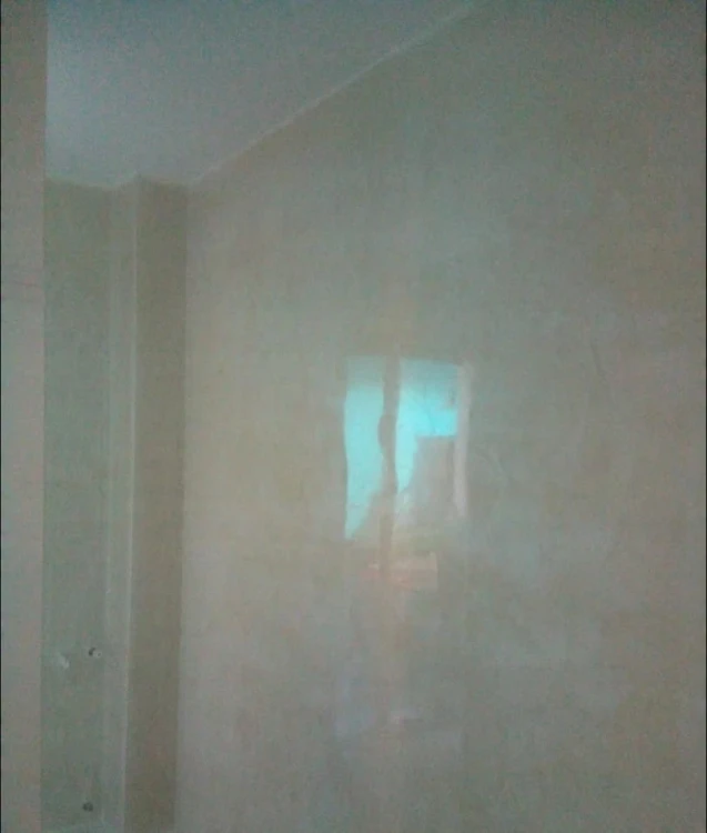 834eed6d81f583516c23f6698e869e55