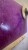 dc8557dcebc58e3d7b4760ea544c51e5
