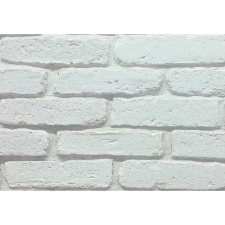 6673ab6557654ae5a6f16de582c5a424