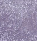 391a3d5887a17c1c3850c5e11c74f033