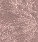 e20dec3c4c94c0d786d5aae2ab89b3a6
