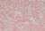 d2fac53669a9e4732e61429cbb8b6a7d
