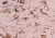 8e2b967405dc8e5d1b931a21f809ceef