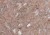 f58880bbb7290307b6cdebe946c3ffb5