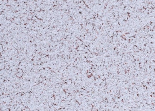 12d1d14837b1d38ae467070aba905648