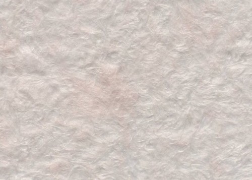 e548aa0ff3049305f3db7ab89a8ff59e