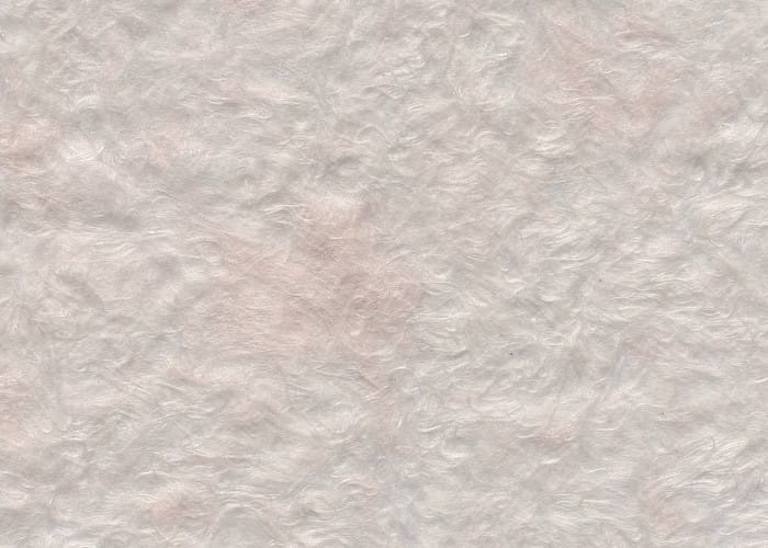 e548aa0ff3049305f3db7ab89a8ff59e