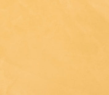 164033