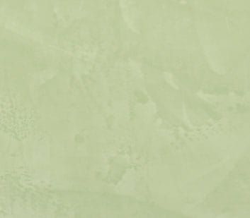 164036