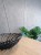 Beton Tynk Architektoniczny PREMIUM - Zestaw do 6 m²