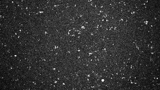 980aaec9ed59bc2e0f87e11035dbacb2