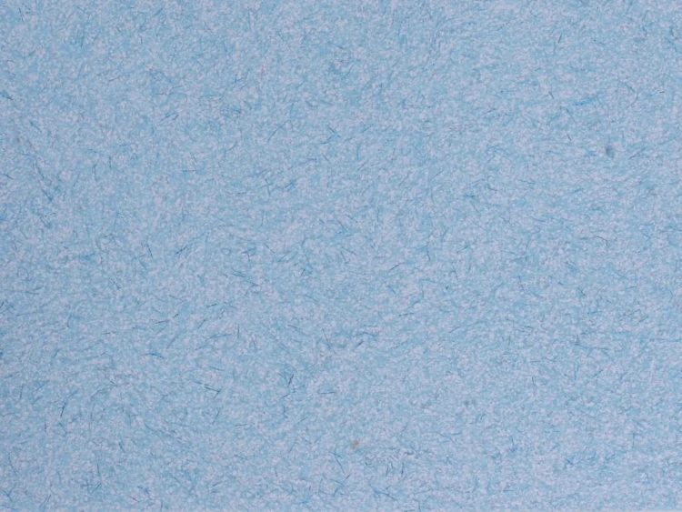 29b307926e87f501df419d4e18b73733