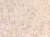 6f190ce64c7f943ad439deaabe972866