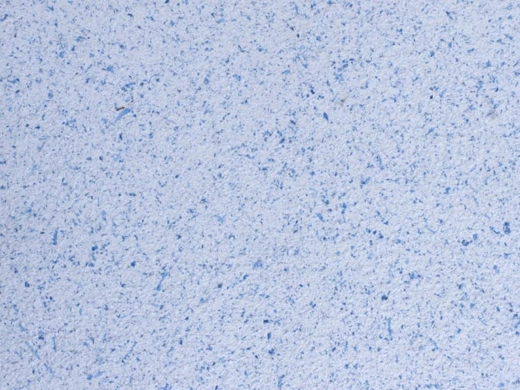 86e8ed18a19012606d7e1eb2ed6a49c9