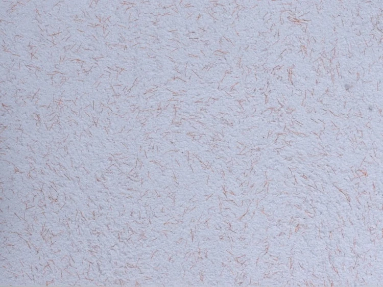 9f629906811108e3bc6a749f6e545062