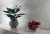 dc56f0c133d3565c54933c8dca597bbc