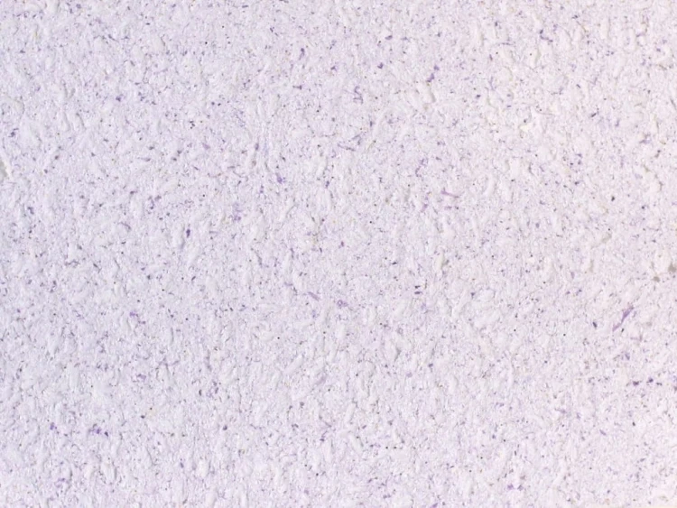 1201f1d2f1c087f49a895a9ab1aafa72